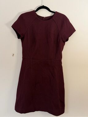 Banana Republic Short-Sleeve Textured Mini Dress in Burgundy